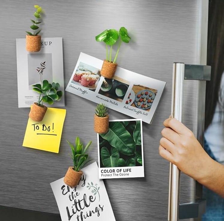 JUSTDOLIFE Plant Fridge Magnets (14-Pack)