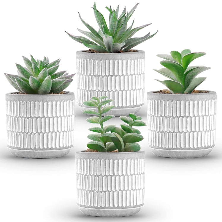 Der Rose Artificial Potted Succulents (Set of 4)