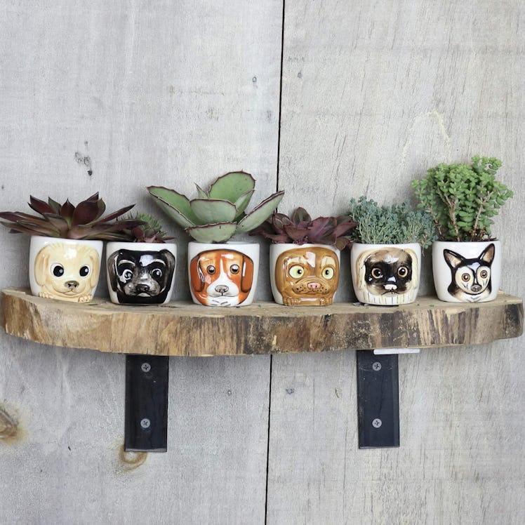 Window Garden Cute Dog Planter Pot (Set of 6)