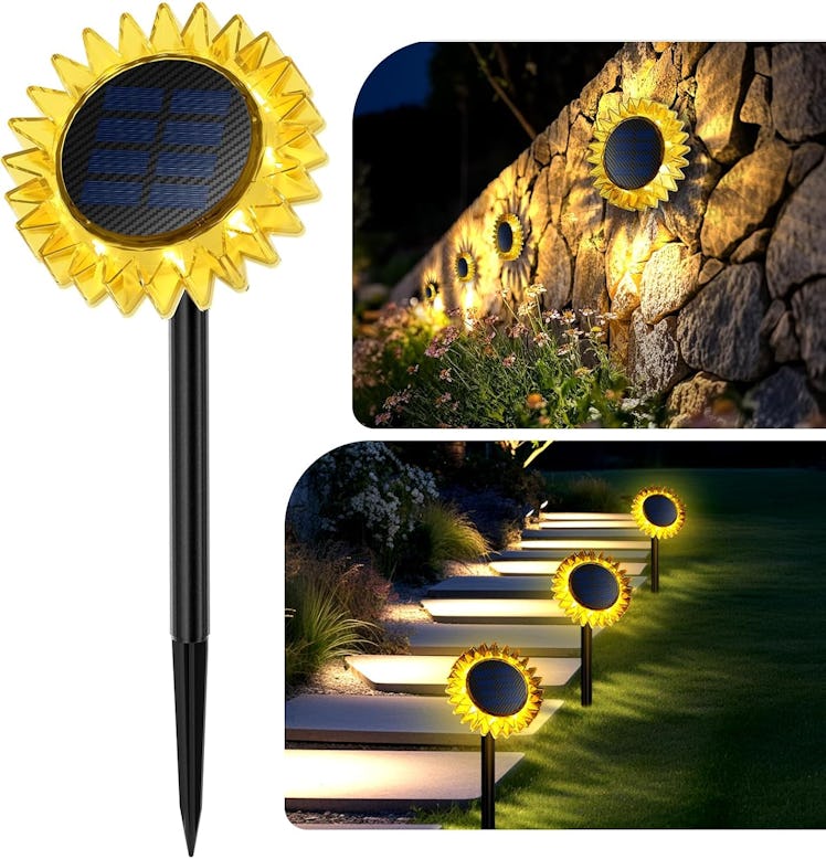 Hogni Solar Pathway Lights (2-Pack)