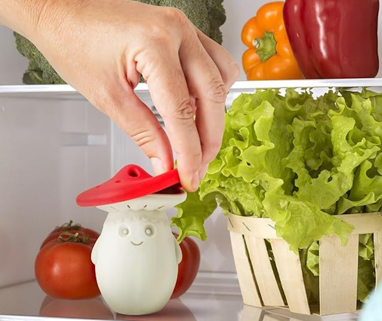 OTOTO Mushroom Fridge Deodorizer 