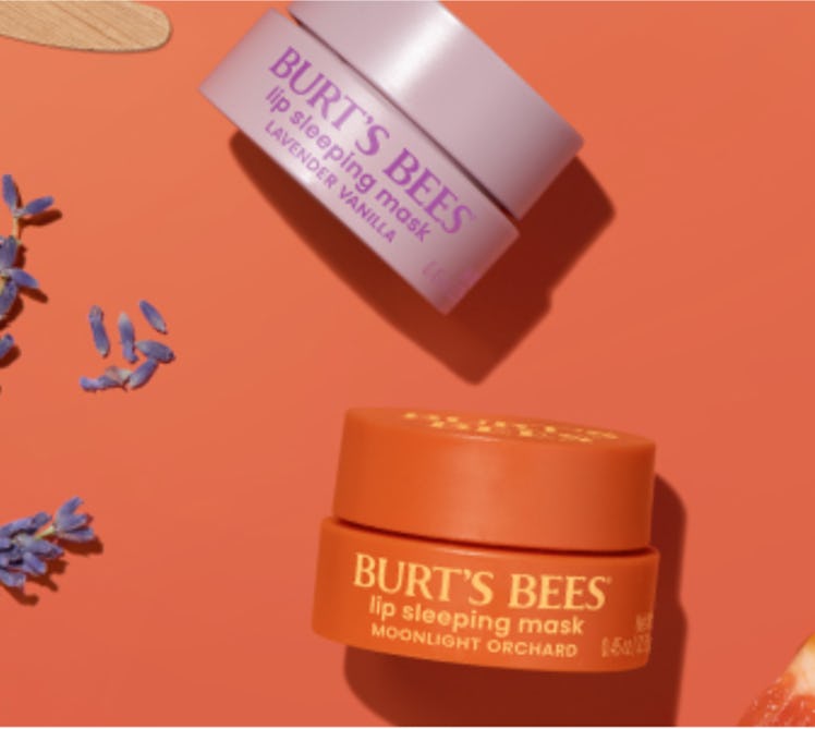 Burt’s Bees Lip Sleeping Mask