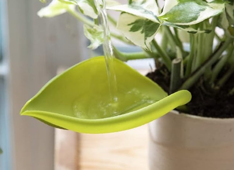 Peleg Design Plant Pot Watering Funnel (3-Pack)