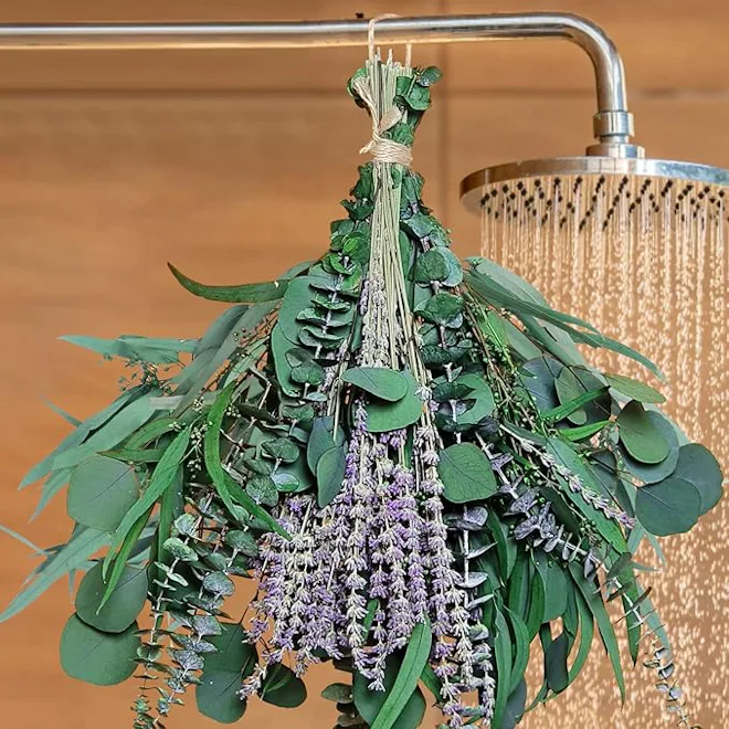 beerfingo Dried Eucalyptus & Lavender Bundle (52 Pieces)