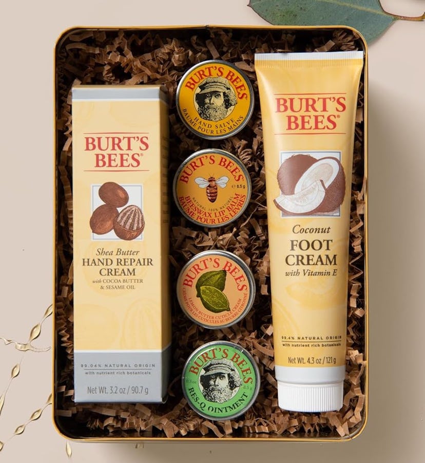 Burt's Bees Moisturizing Kit