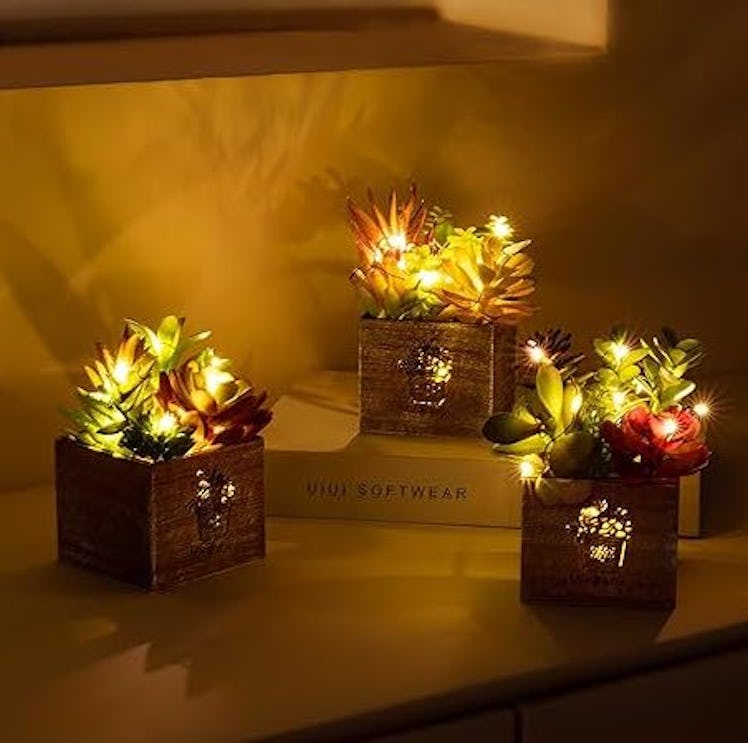 Mingfuxin Lighted Faux Succulents (3-Pack)