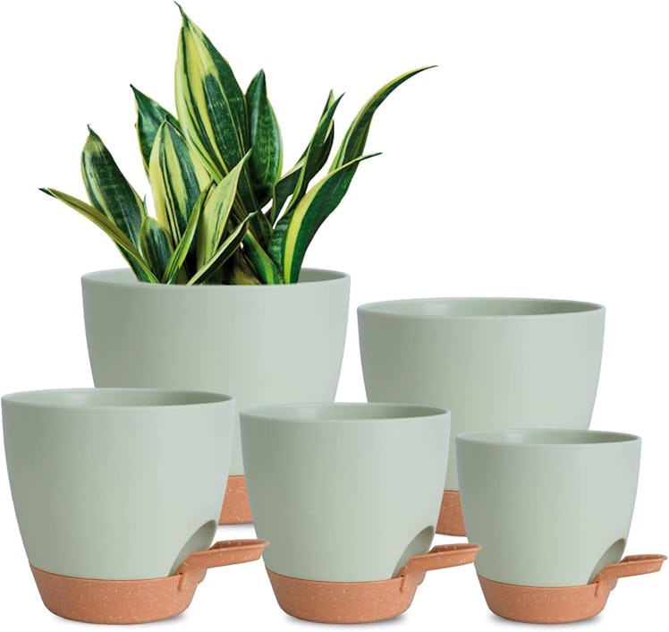 Vansologreen Self-Watering Planters (Set of 5)