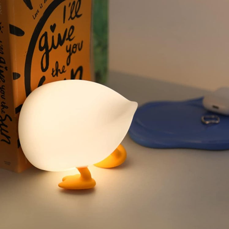 ipalmay Duck Lamp