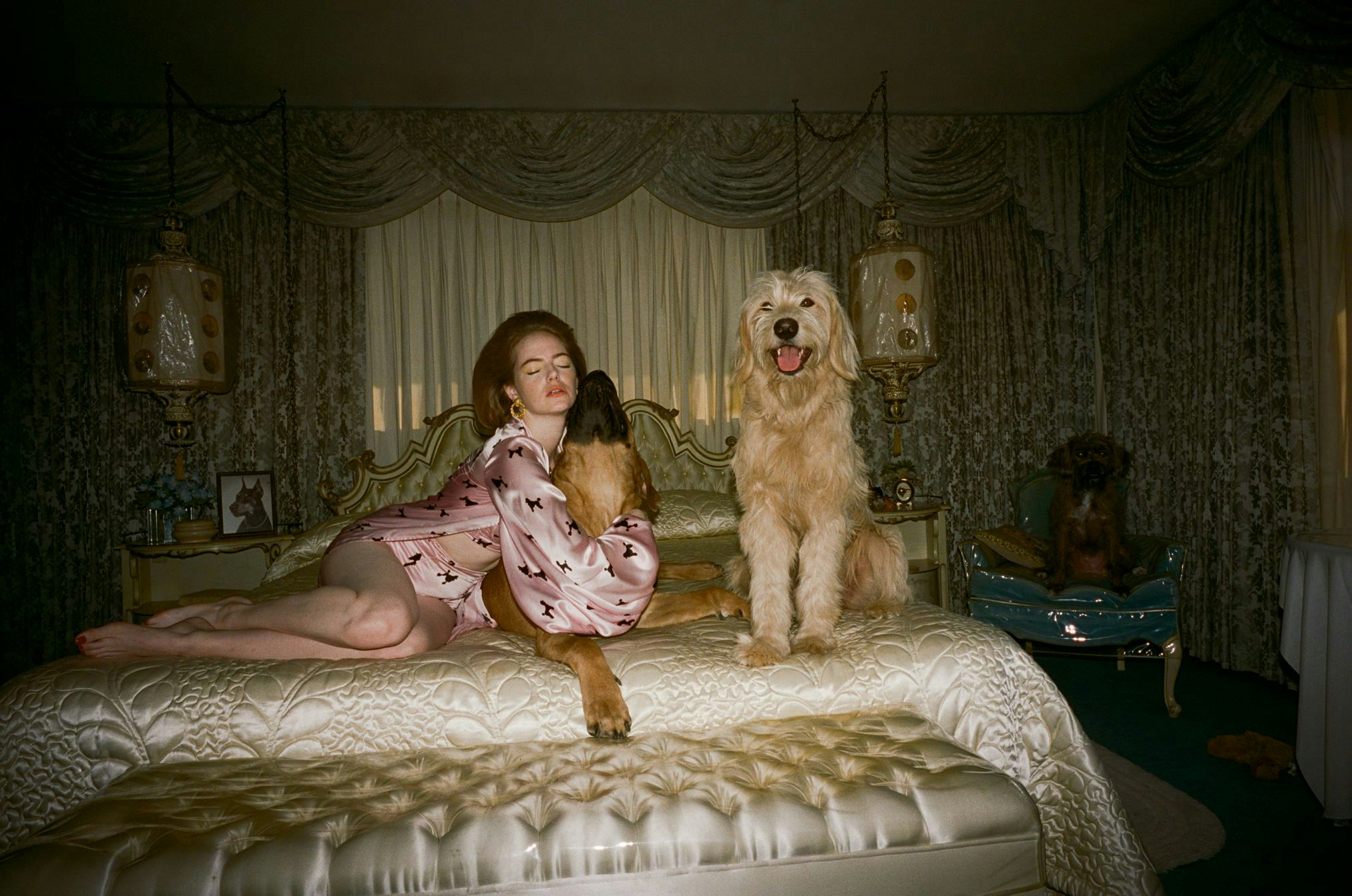 emma stone and some dogs on a bed
