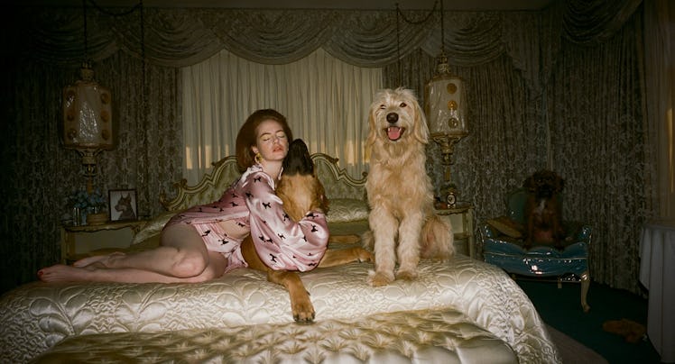 emma stone and some dogs on a bed