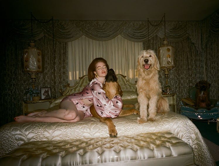 emma stone and some dogs on a bed