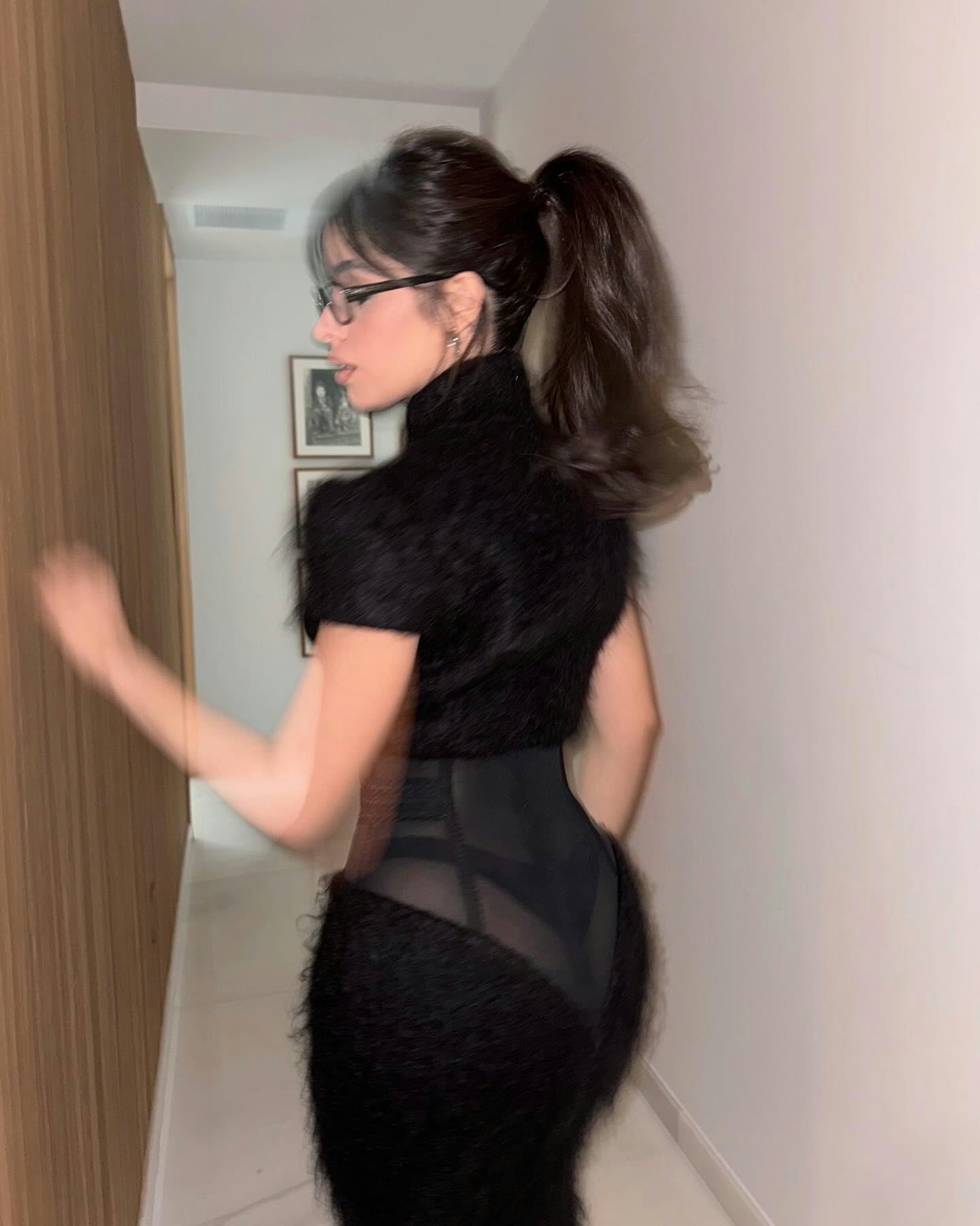 Camila Cabello wore a sheer LBD with a built-in whale tail.