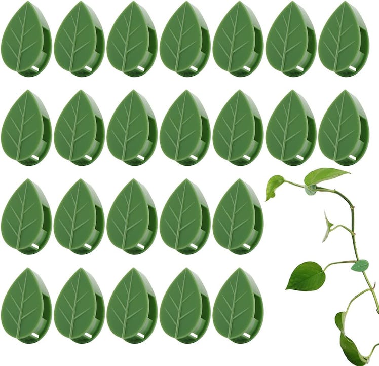 LUCKJUJU Self-Adhesive Vine Hooks (60 Pieces)