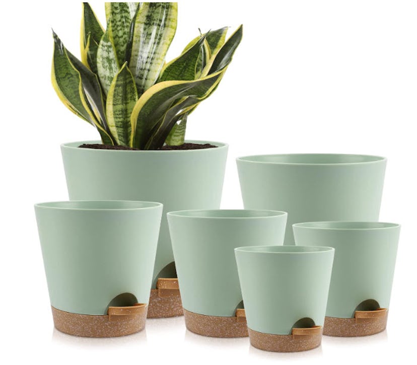 YNNICO Indoor Self-Watering Planters