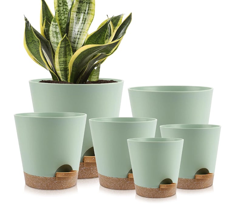YNNICO Indoor Self Watering Planters (6-Piece Set)