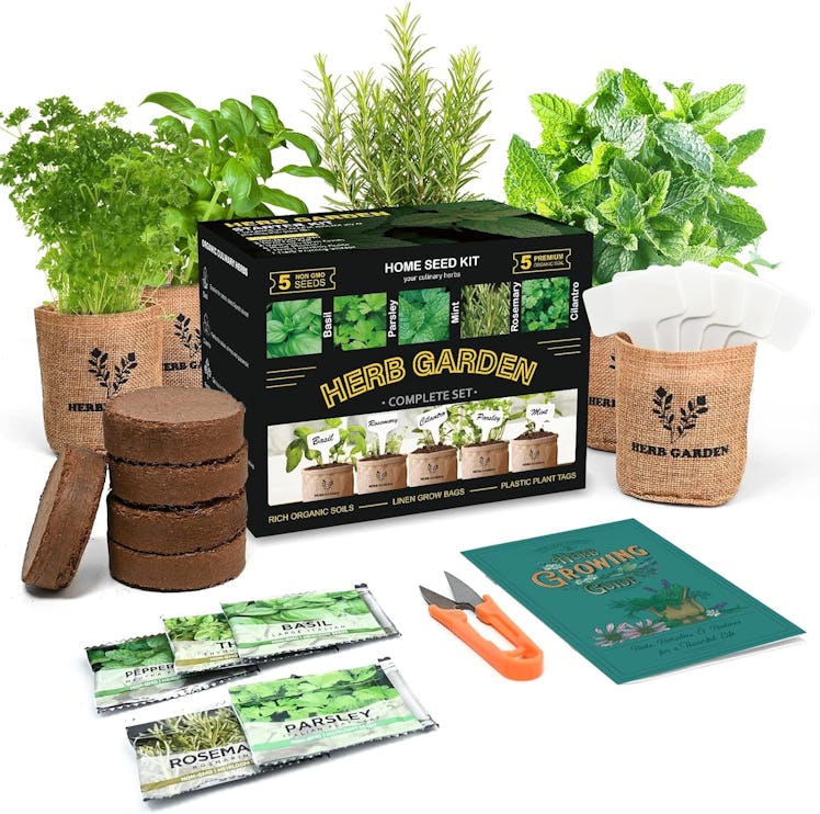 Meekear Indoor Herb Garden Starter 