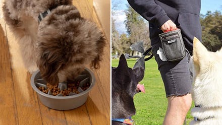 35 cheap products people use to make their dog behave 10x better