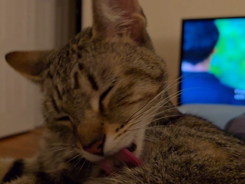 A screenshot of the Samsung Galaxy S24's Galaxy AI-powered Instant Slow-Mo feature applied to a vide...