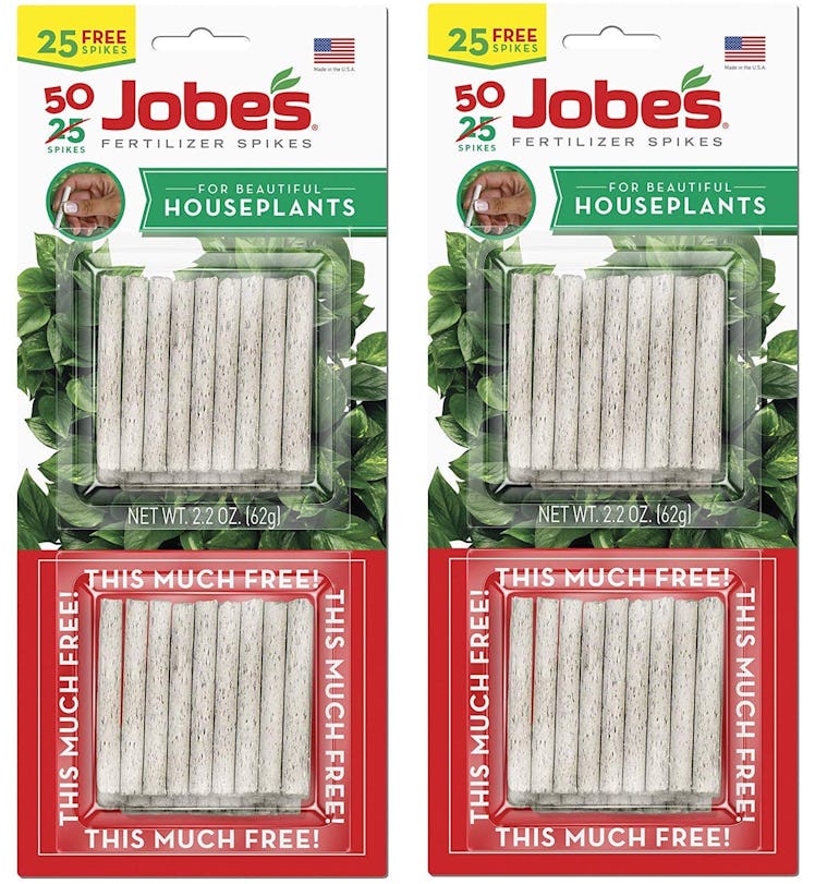 Jobe's Houseplant Indoor Fertilizer Food Spikes (50-Pack)