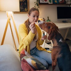 A woman gives her dog CBD oil. 