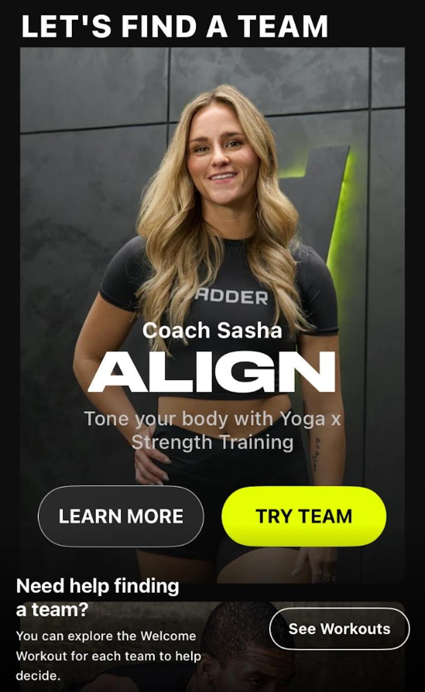 Ladder workout review.