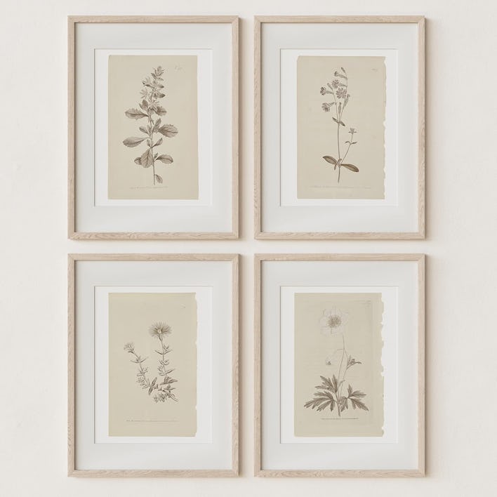 Sandstone & Sage Botanical Prints (Set of 4)