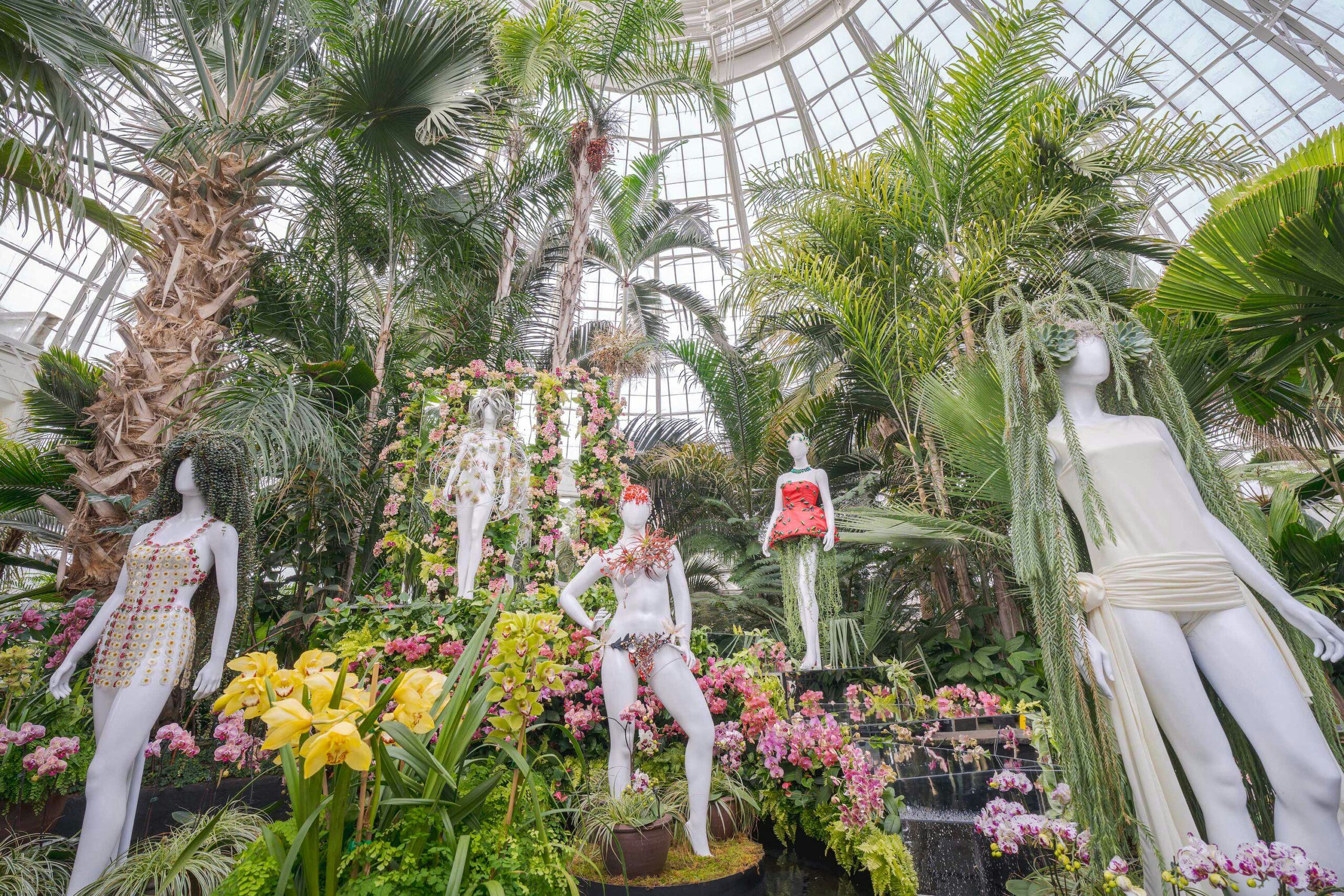 At the New York Botanical Garden Orchid Show, Female