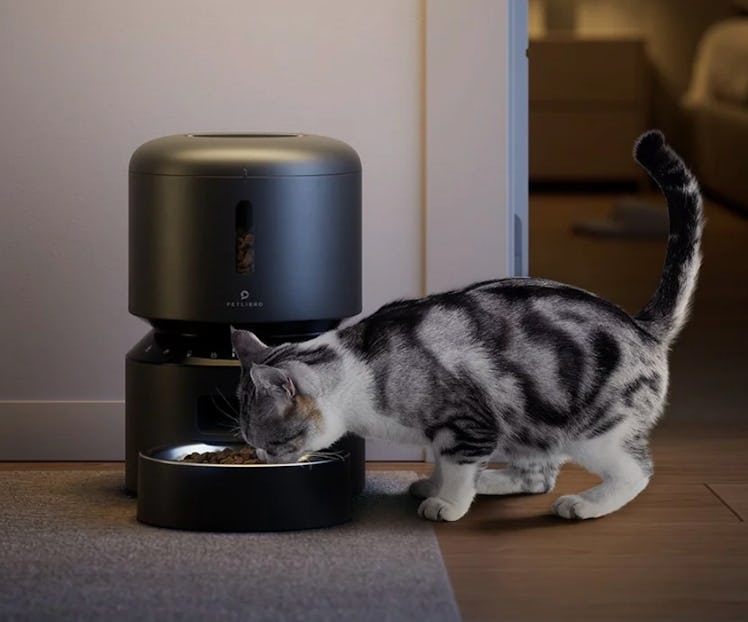 PETLIBRO Granary Automatic Cat Feeder