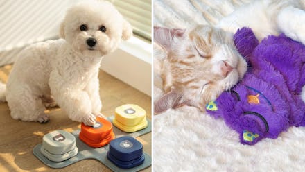 Living with pets would be so much easier if you had any of these clever things