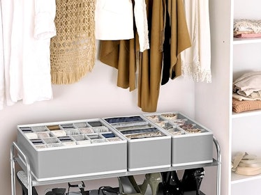 SimpleHouseware Closet Underwear Organizer 