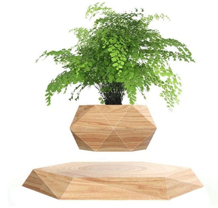 KIYOMING Levitating Plant Pot