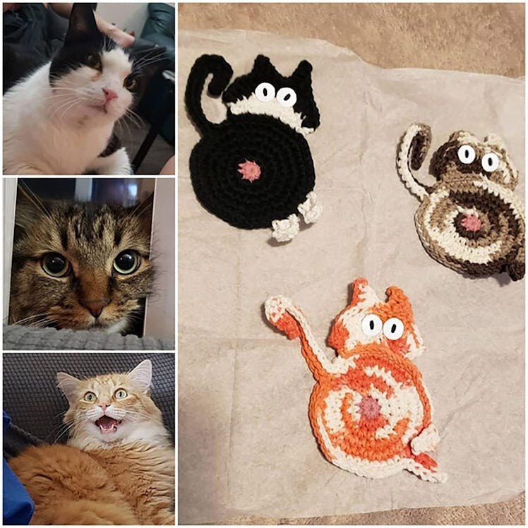 Graceice Cat Coasters (3-Pack)