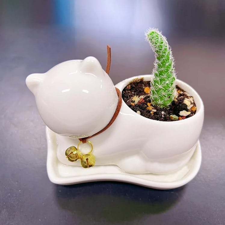 GeLive Cat Succulent Planter