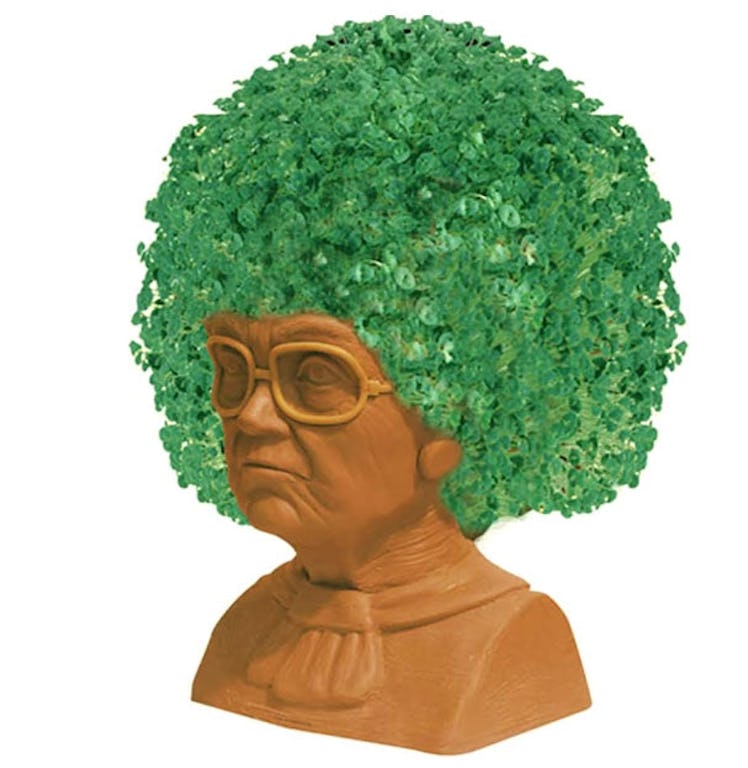 Chia Pet Golden Girls Sophia