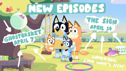 A new promo teases the release date for the 'Bluey' Season 3 finale.