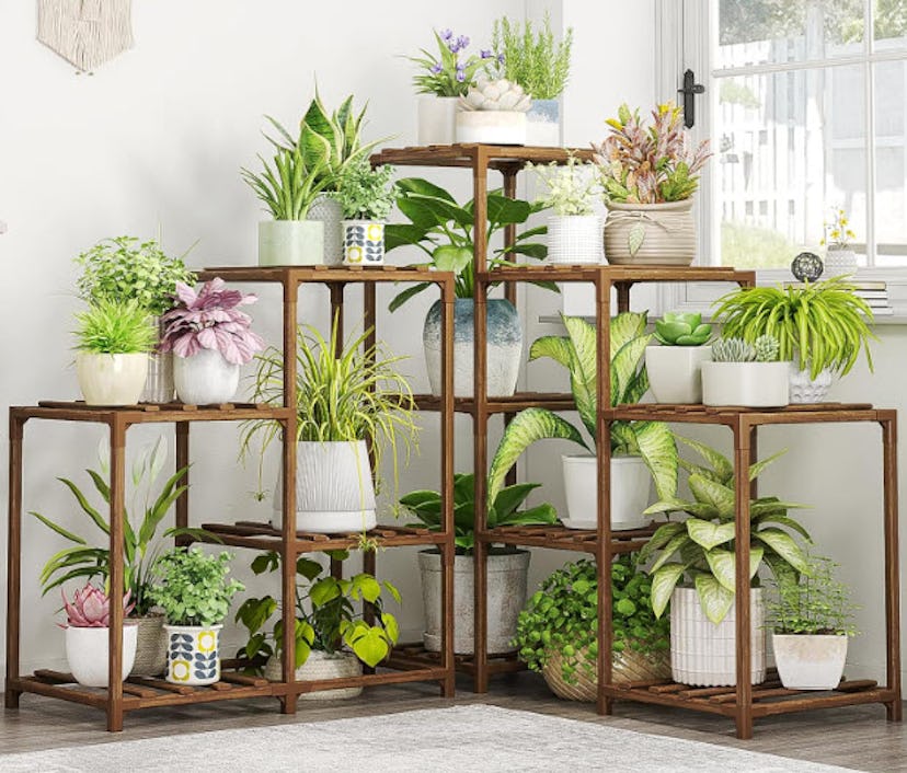 Bamworld Plant Stand