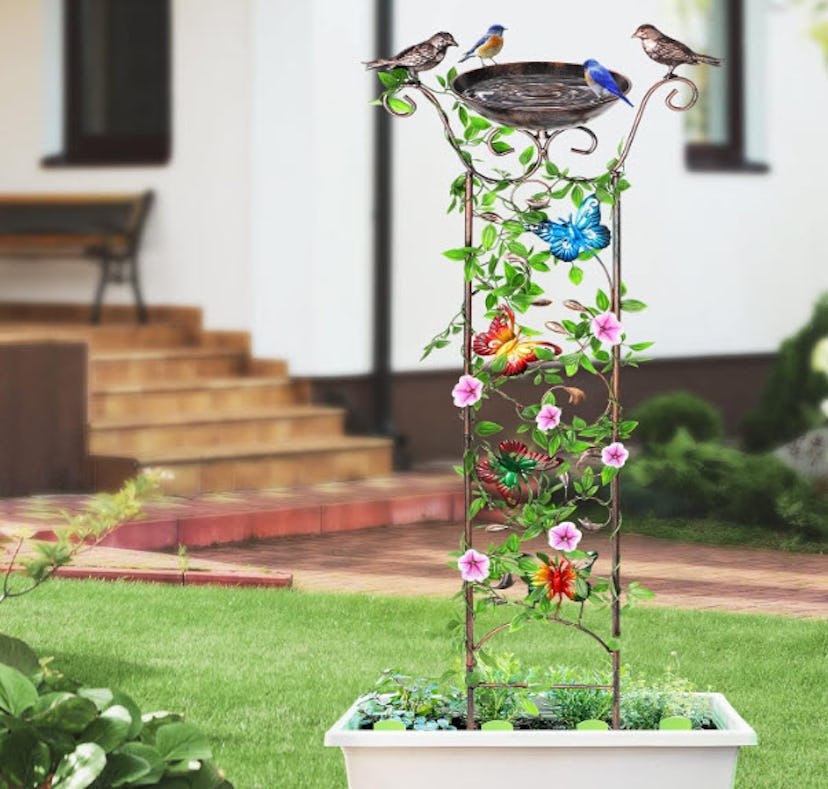 DesGully Bird Bath with Garden Trellis for Climbing Plants Outdoor