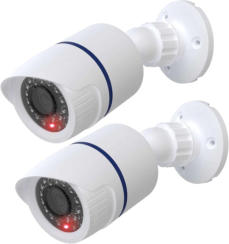 WALI Fake Security Camera (2-Pack)