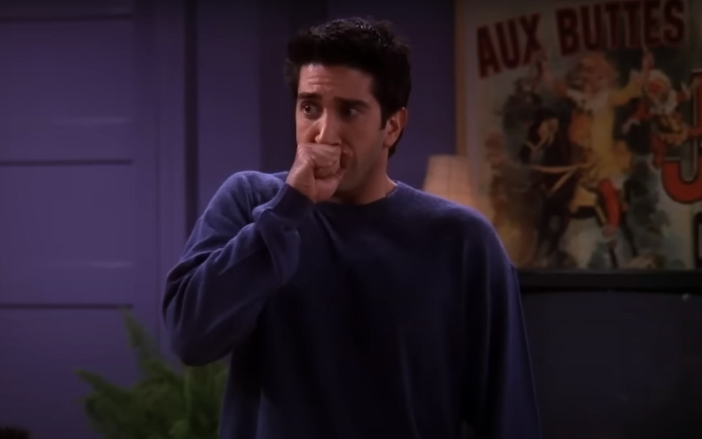 David Schwimmer as Ross Geller in 'Friends' 