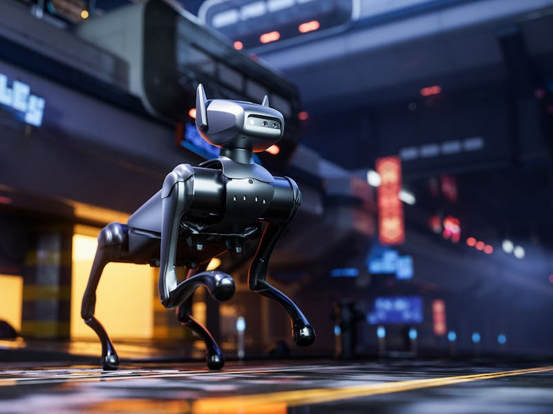 Tecno Dynamic 1 robot dog