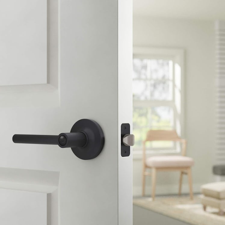 Amazon Basics Interior Door Handle