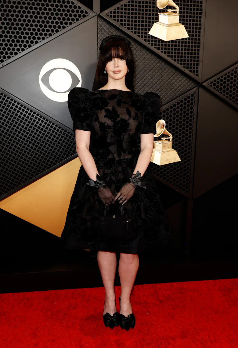 Grammys 2024 Fashion: See Every Red Carpet Look Grammys 2024 Fashion: See Every Red Carpet Look