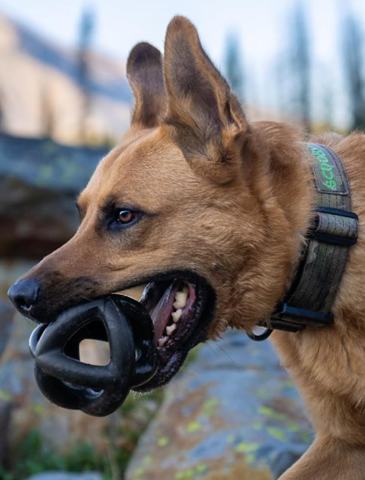Monster K9 Heavy-Duty Rubber Ball