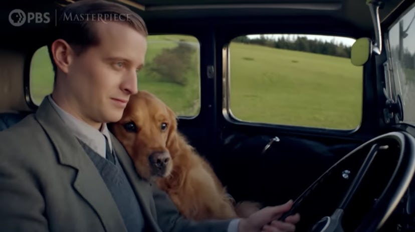 Nicholas Ralph as James Herriot driving a car with a golden retriever snuggled against him in 'All C...