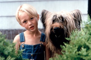 The 1993 movie 'Dennis the Menace' depicts a young boy who is always getting in trouble.