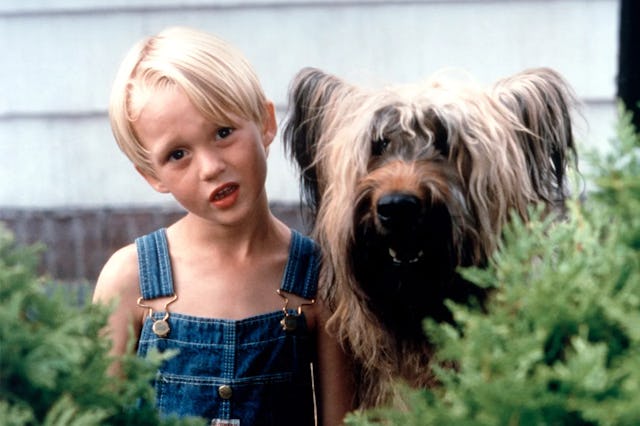 The 1993 movie 'Dennis the Menace' depicts a young boy who is always getting in trouble.