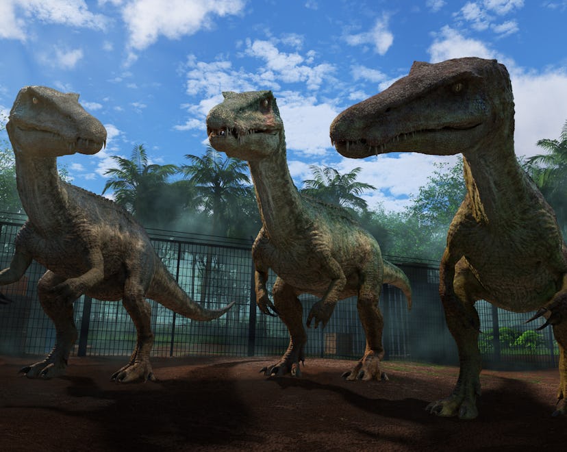 Three velociraptors in 'Camp Cretaceous.'