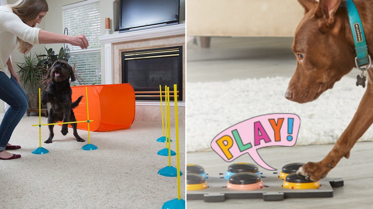 If you have a dog, you'll think this stuff is awesome