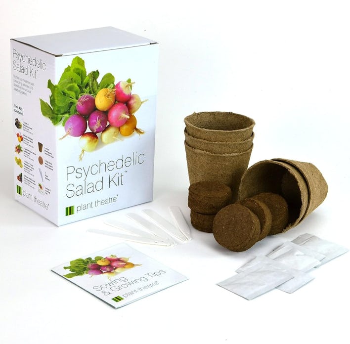 Plant Theatre Psychedelic Vegetable Garden Starter Kit