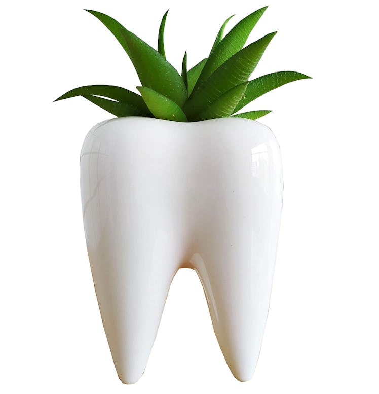 Cuteforyou Tall Tooth Shaped Ceramic Planter